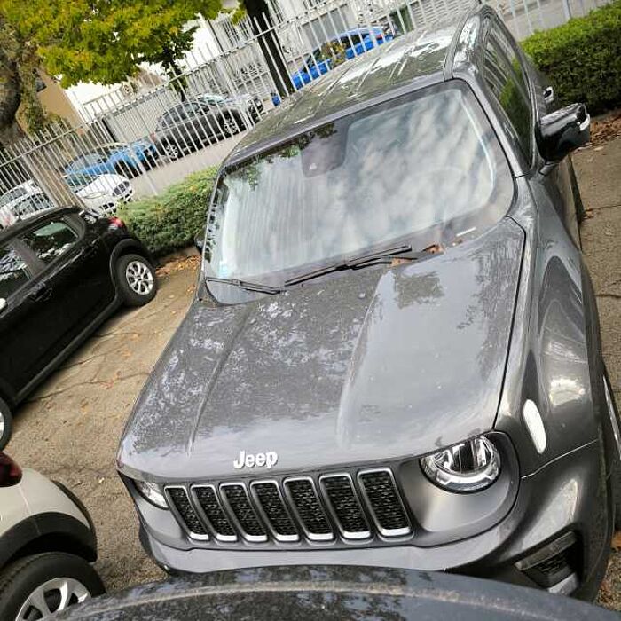 Jeep Renegade 1l